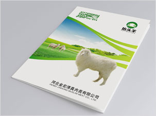 河北金宏清真肉類公司畫冊(cè)設(shè)計(jì)案例圖片