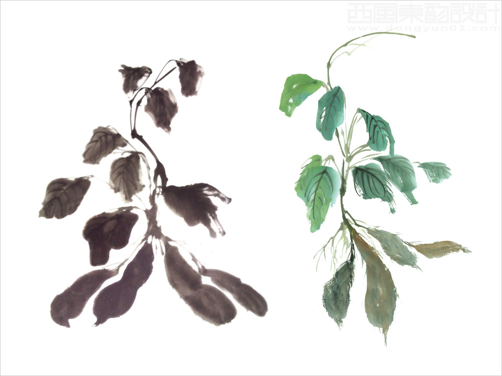 上海越元實(shí)業(yè)有限公司Shoptea何首烏保健品包裝設(shè)計(jì)核心元素------何首烏國(guó)畫(huà)圖 上海越元實(shí)業(yè)有限公司Shoptea何首烏保健品包裝設(shè)計(jì)核心元素------何首烏國(guó)畫(huà)圖