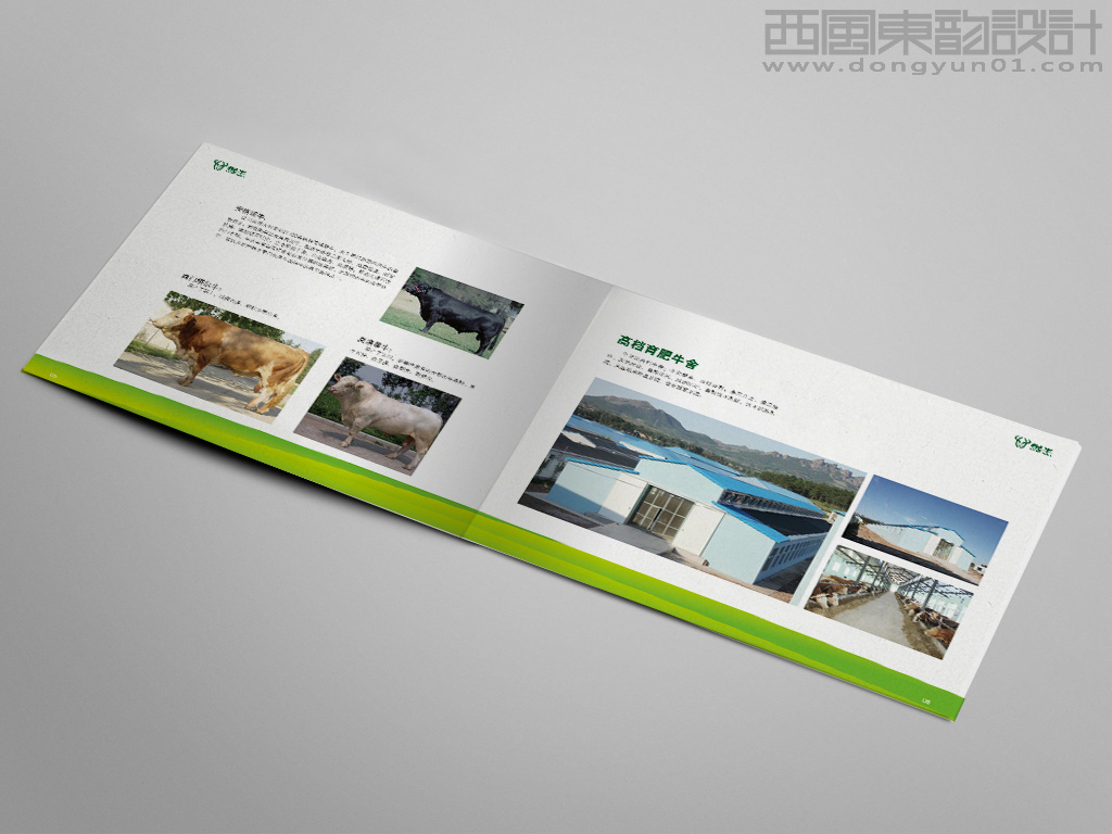 遼寧宏達(dá)牛業(yè)發(fā)展有限公司悅牛品牌畫(huà)冊(cè)育牛舍內(nèi)頁(yè)設(shè)計(jì)