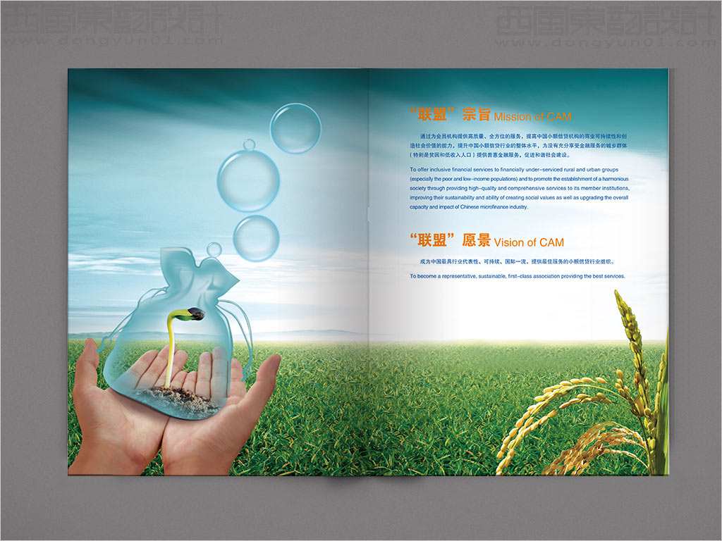 中國小額信貸聯(lián)盟年報設(shè)計之聯(lián)盟宗旨、愿景內(nèi)頁設(shè)計