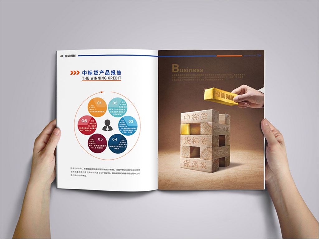 北京國信創(chuàng)新科技股份有限公司畫冊設計之中標貸產品報告內頁設計