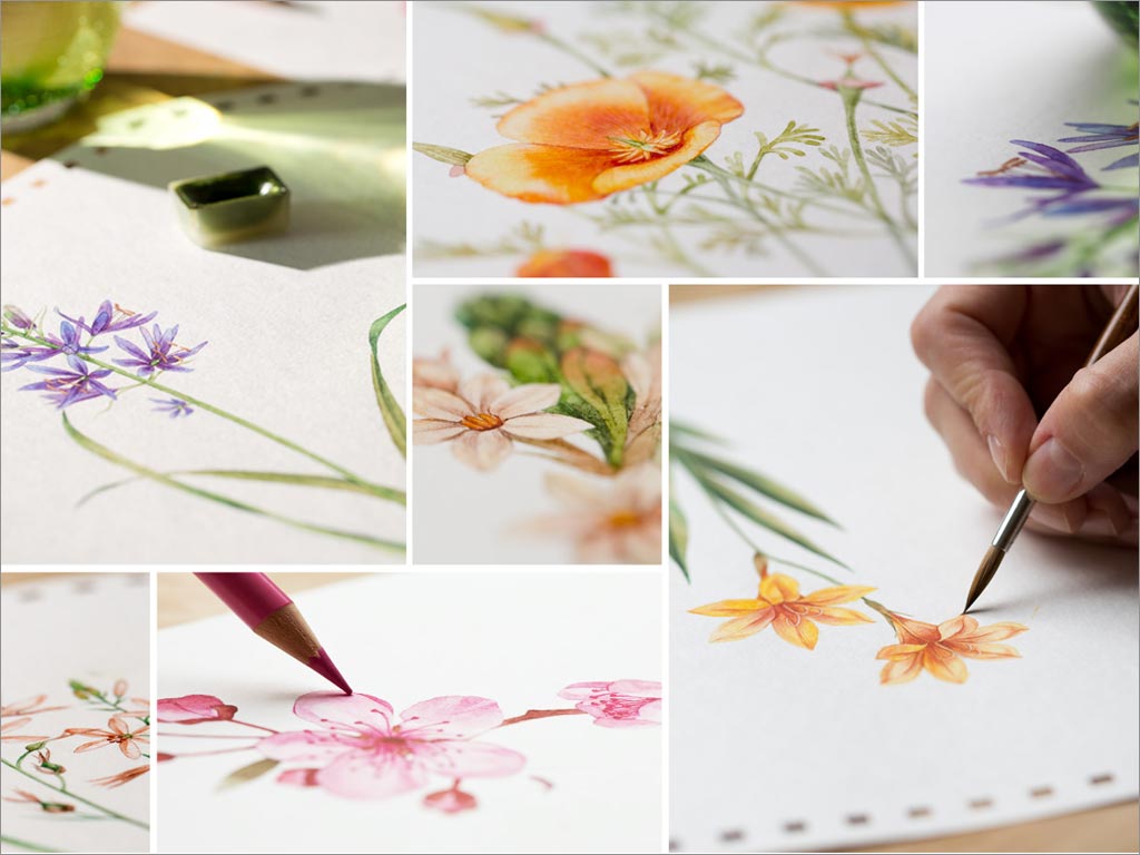 俄羅斯Floristica化妝品包裝設(shè)計(jì)之手繪插畫設(shè)計(jì)工作場景展示