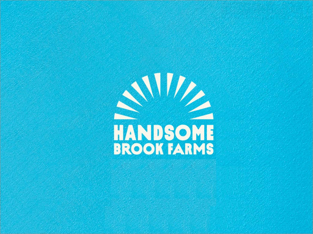 美國布魯克農(nóng)場雞蛋品牌logo設(shè)計