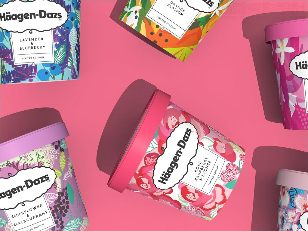 采用獨(dú)特插畫的美國哈根達(dá)斯冰淇淋包裝設(shè)計(jì)