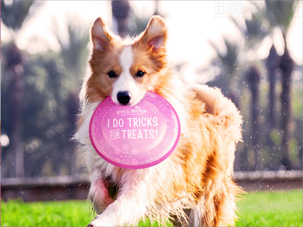 美國full moon寵物狗糧食品包裝設(shè)計(jì)之實(shí)物照片