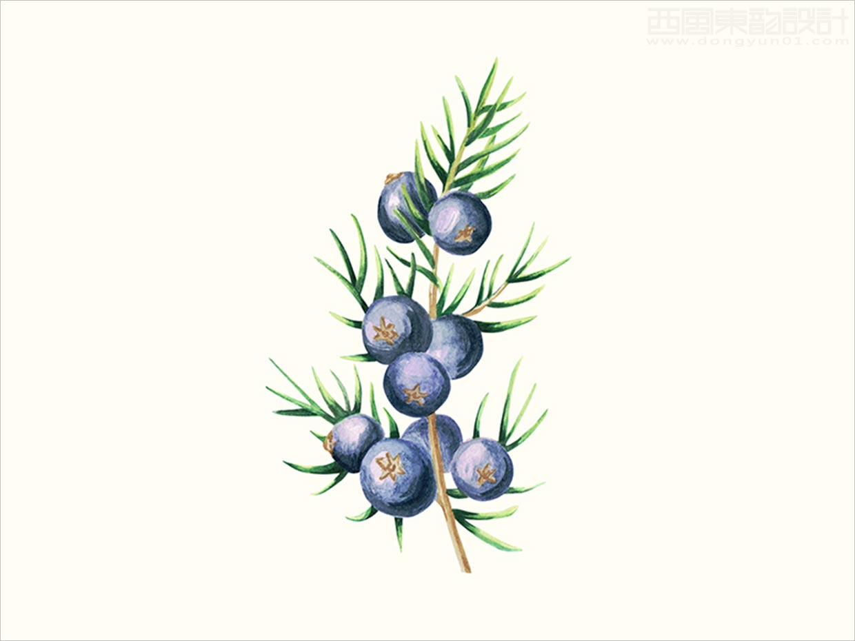 英國Scence護(hù)膚品包裝設(shè)計(jì)之插畫設(shè)計(jì)