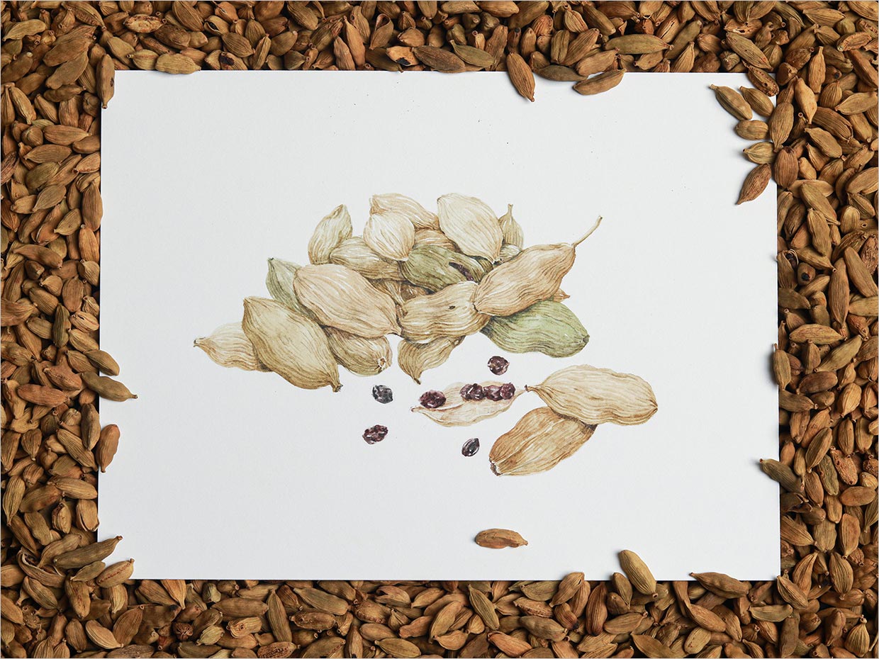 印度尼西亞Koepoe Koepoe調(diào)味料瓶簽包裝設(shè)計(jì)之插畫(huà)設(shè)計(jì)