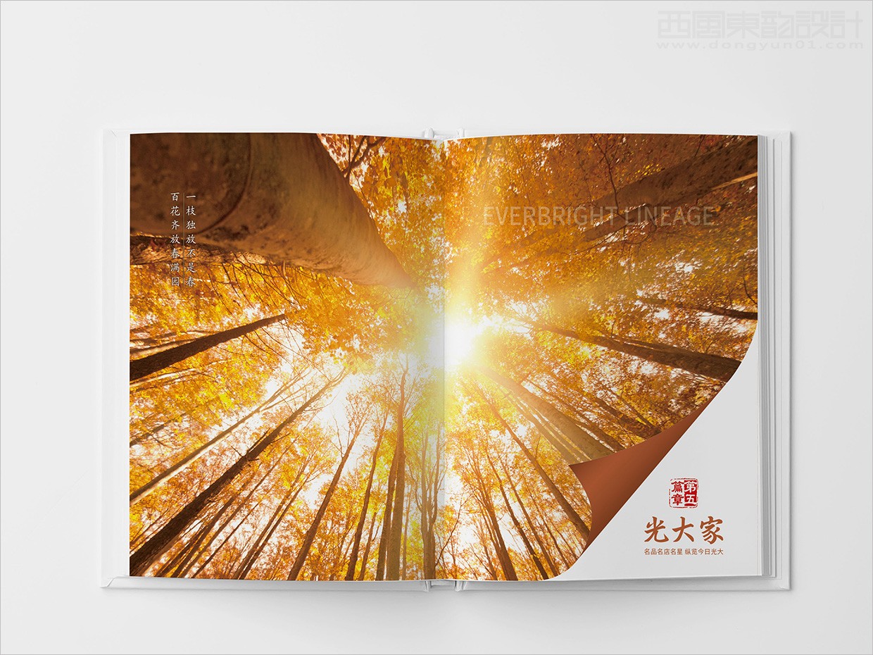 中國光大集團畫冊設(shè)計之畫冊內(nèi)頁設(shè)計