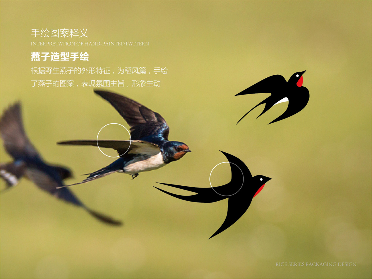 綠牧嶺大米農(nóng)產(chǎn)品包裝設計之燕子手繪插圖