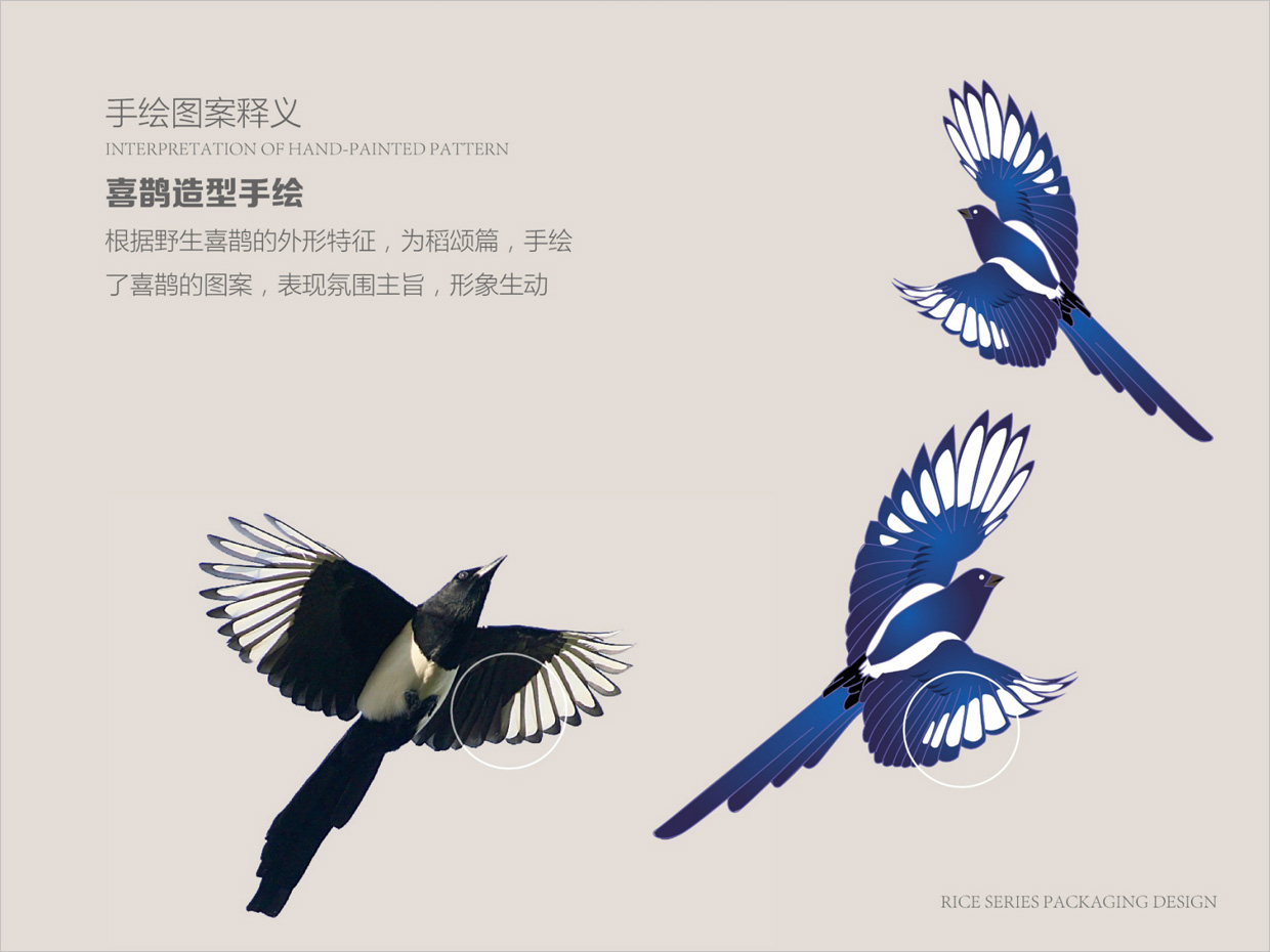 綠牧嶺大米農(nóng)產(chǎn)品包裝設計之喜鵲手繪插圖