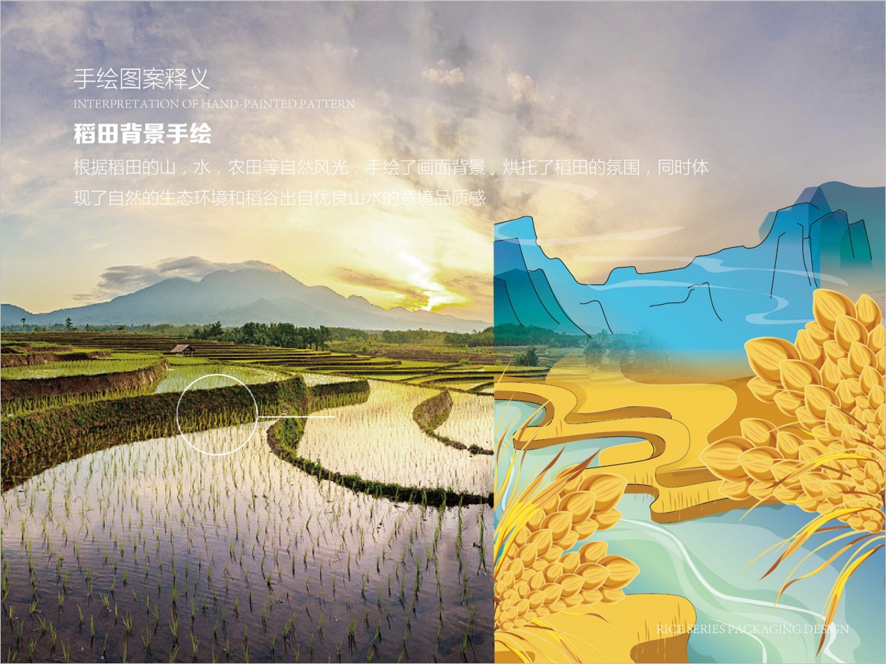 綠牧嶺大米農(nóng)產(chǎn)品包裝設計之稻田手繪插圖