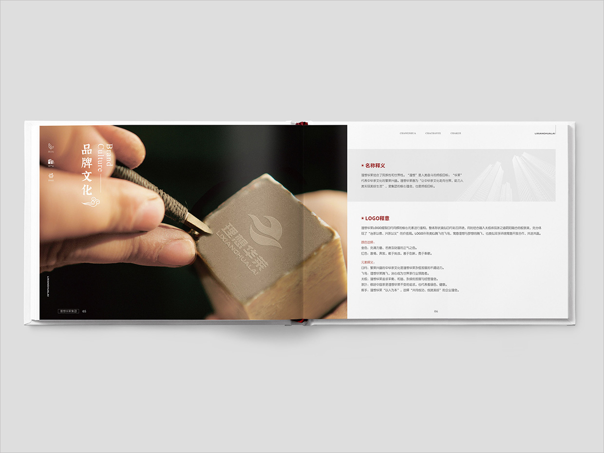 理想華萊科技集團(tuán)公司畫冊設(shè)計(jì)之品牌文化設(shè)計(jì)