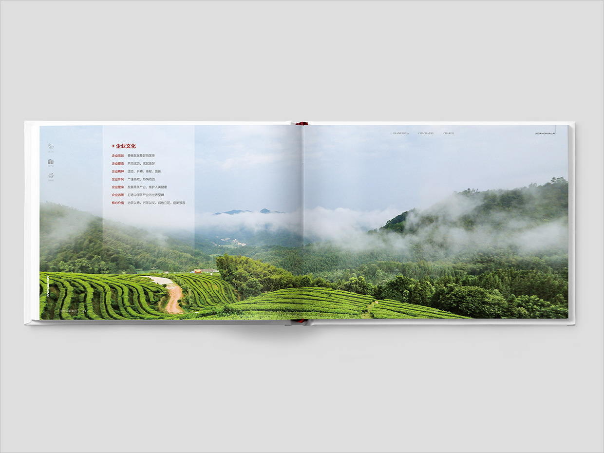 理想華萊科技集團(tuán)公司畫冊設(shè)計(jì)之企業(yè)文化頁設(shè)計(jì)