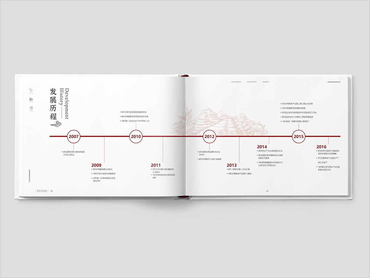 理想華萊科技集團(tuán)公司畫冊設(shè)計(jì)之發(fā)展歷程頁面設(shè)計(jì)