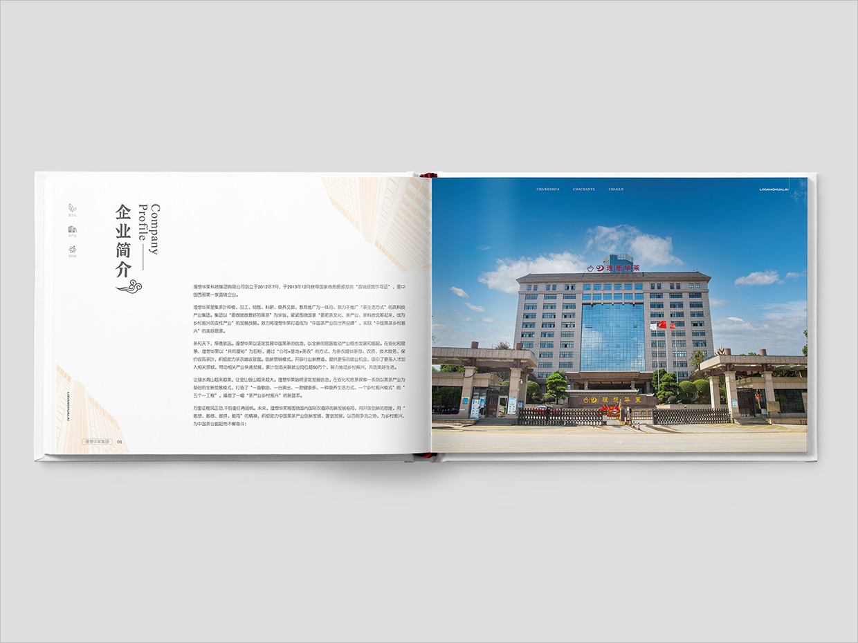 理想華萊科技集團(tuán)公司畫冊設(shè)計(jì)之企業(yè)簡介頁面設(shè)計(jì)
