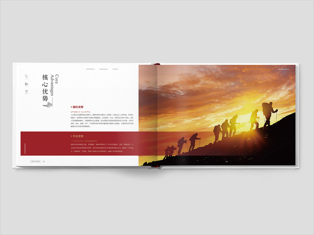 理想華萊科技集團(tuán)公司畫冊設(shè)計(jì)之核心優(yōu)勢頁面設(shè)計(jì)