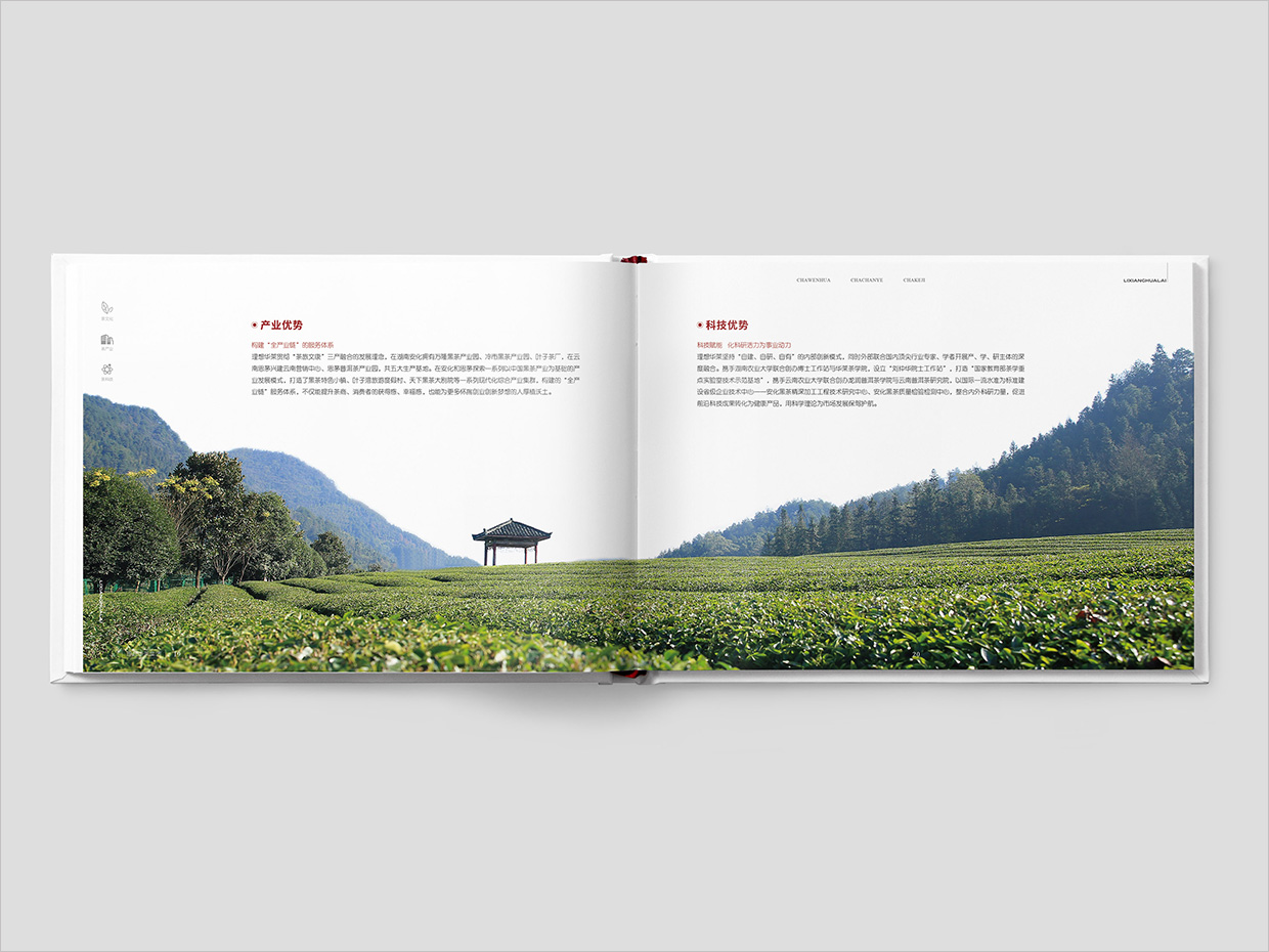 理想華萊科技集團(tuán)公司畫冊設(shè)計(jì)之產(chǎn)業(yè)優(yōu)勢頁面設(shè)計(jì)