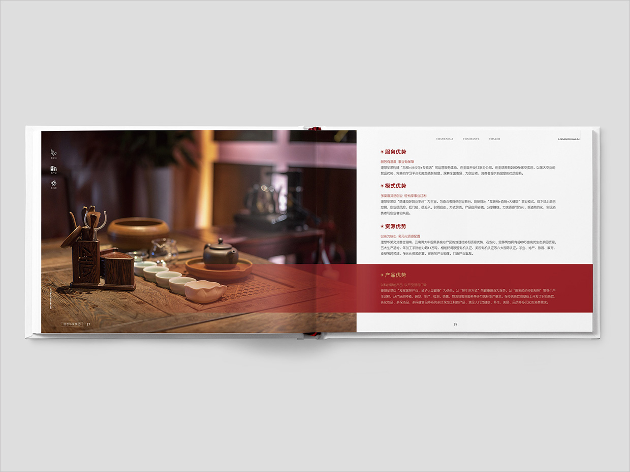 理想華萊科技集團(tuán)公司畫冊設(shè)計(jì)之產(chǎn)品優(yōu)勢頁面設(shè)計(jì)