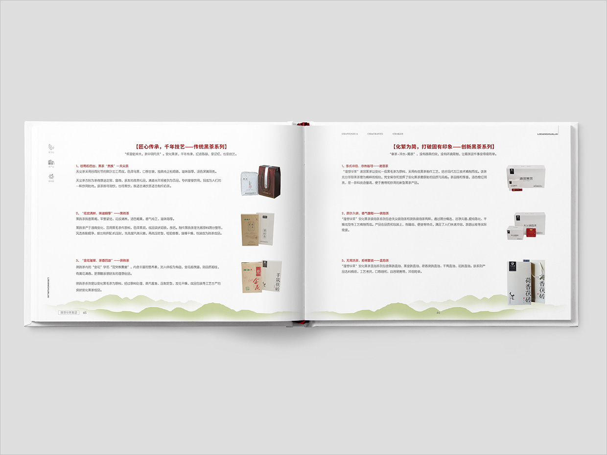 理想華萊科技集團(tuán)公司畫冊設(shè)計(jì)之產(chǎn)品介紹頁面設(shè)計(jì)