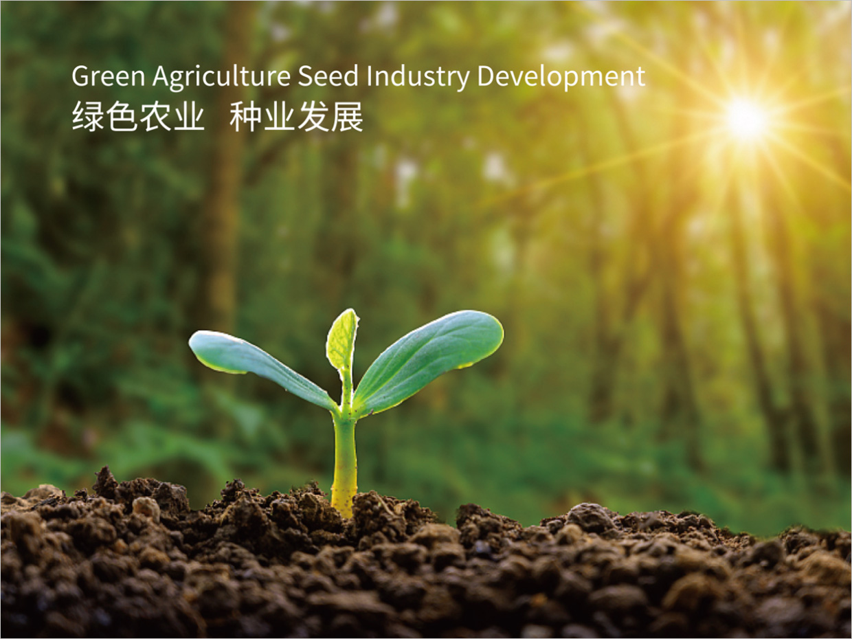 北京先農(nóng)投資管理公司logo設(shè)計創(chuàng)意理念說明之禾苗幼芽 北京先農(nóng)投資管理公司logo設(shè)計創(chuàng)意理念說明之禾苗幼芽